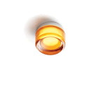 Wall Lamp | Modern LED with Glass Shade | Warm White or 3-Color