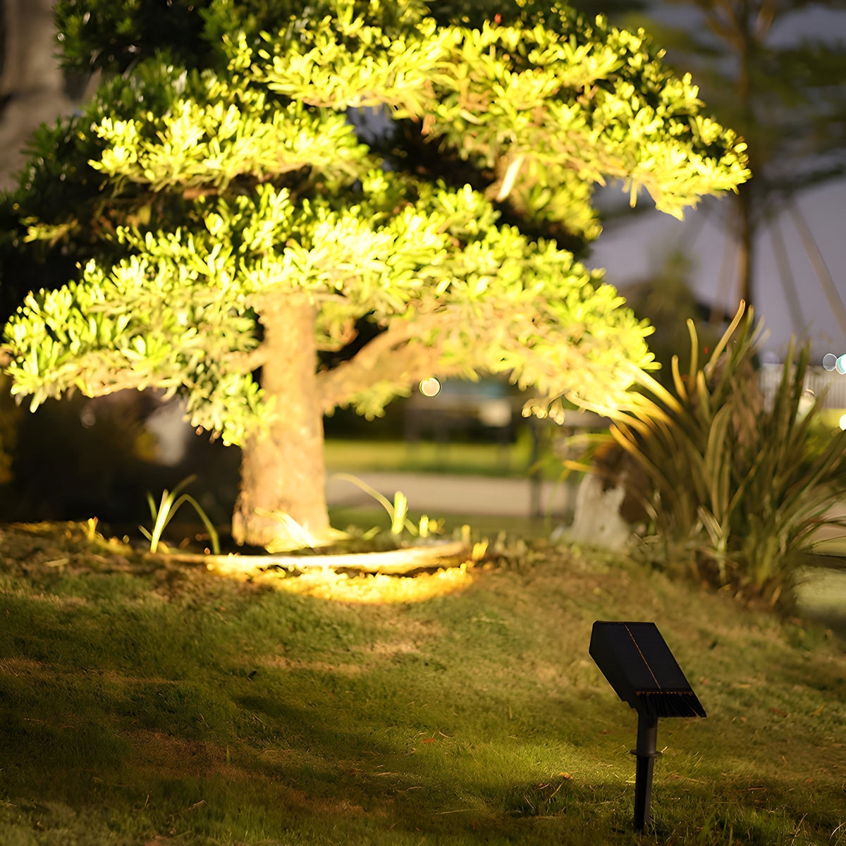 Solar Garden Spotlight | Adjustable Head, RGB Color | Outdoor LED